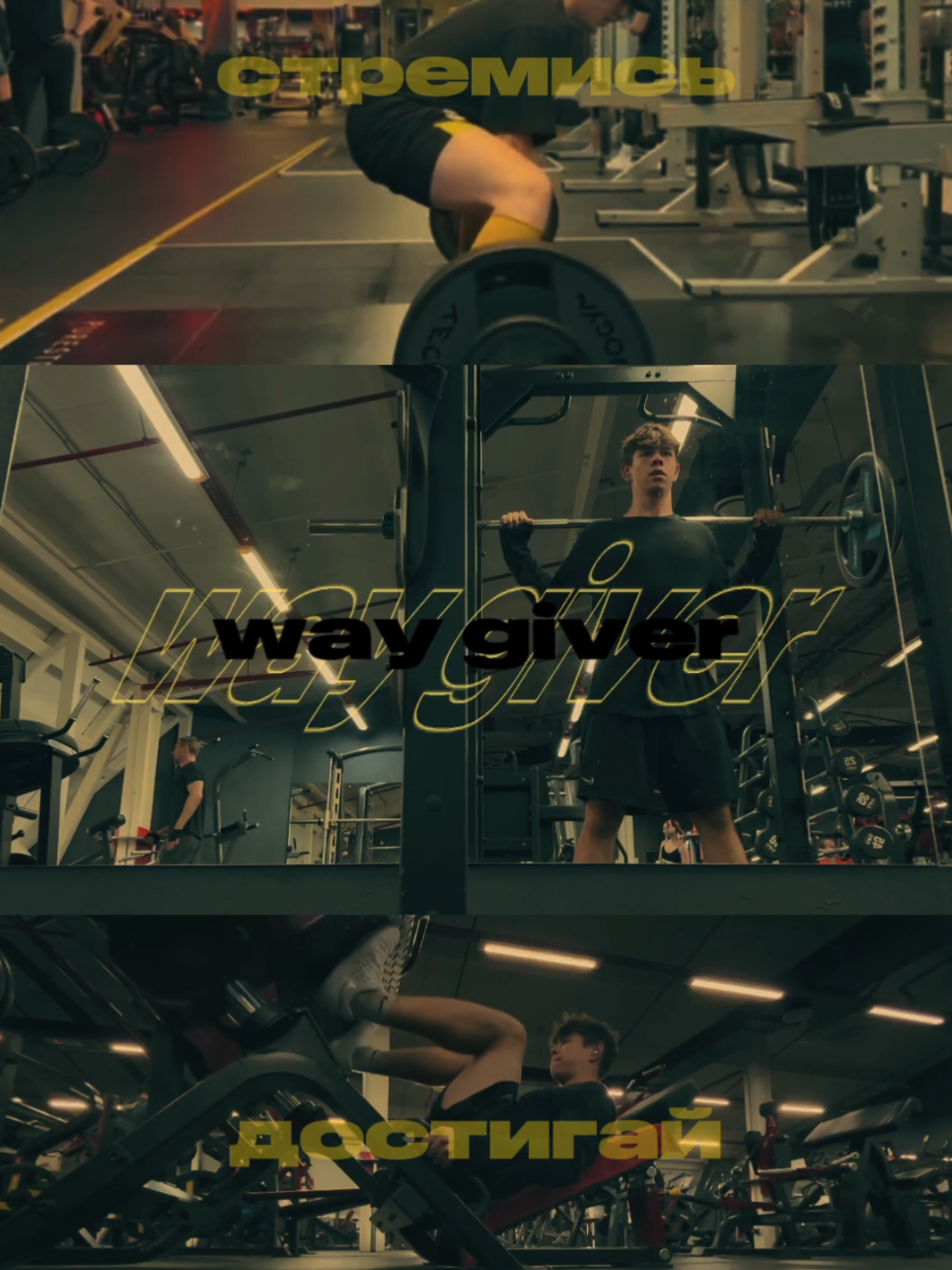 @Way giver | Mentor | Mila