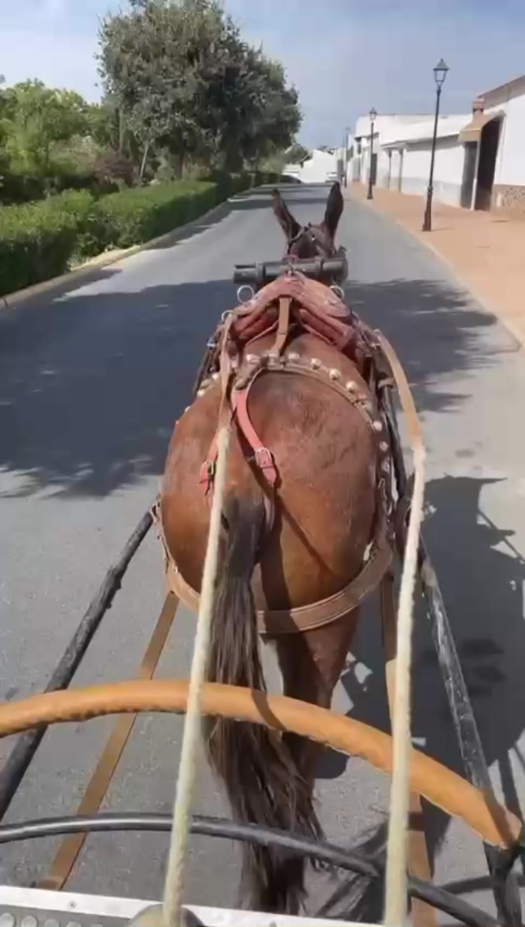 @Adri&aacute;n
