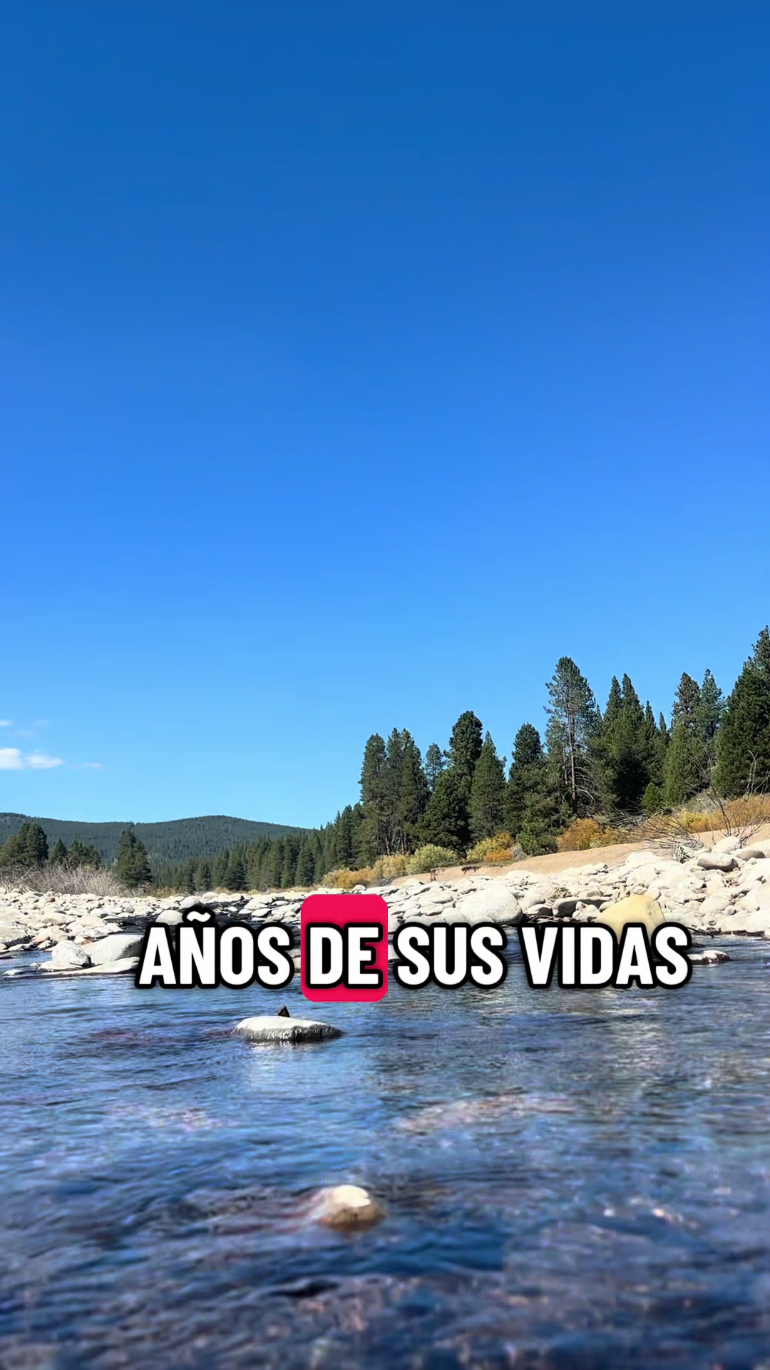 @DEA