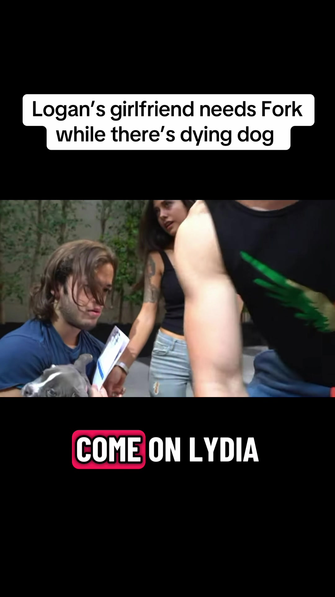 @Logan Paul