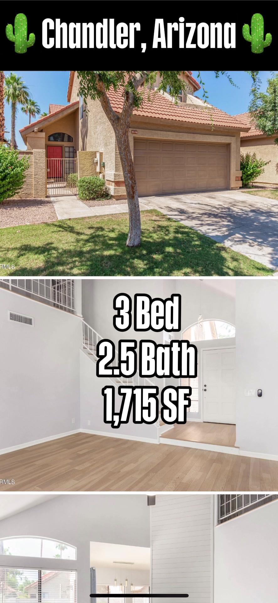 @David Montaner | Realtor