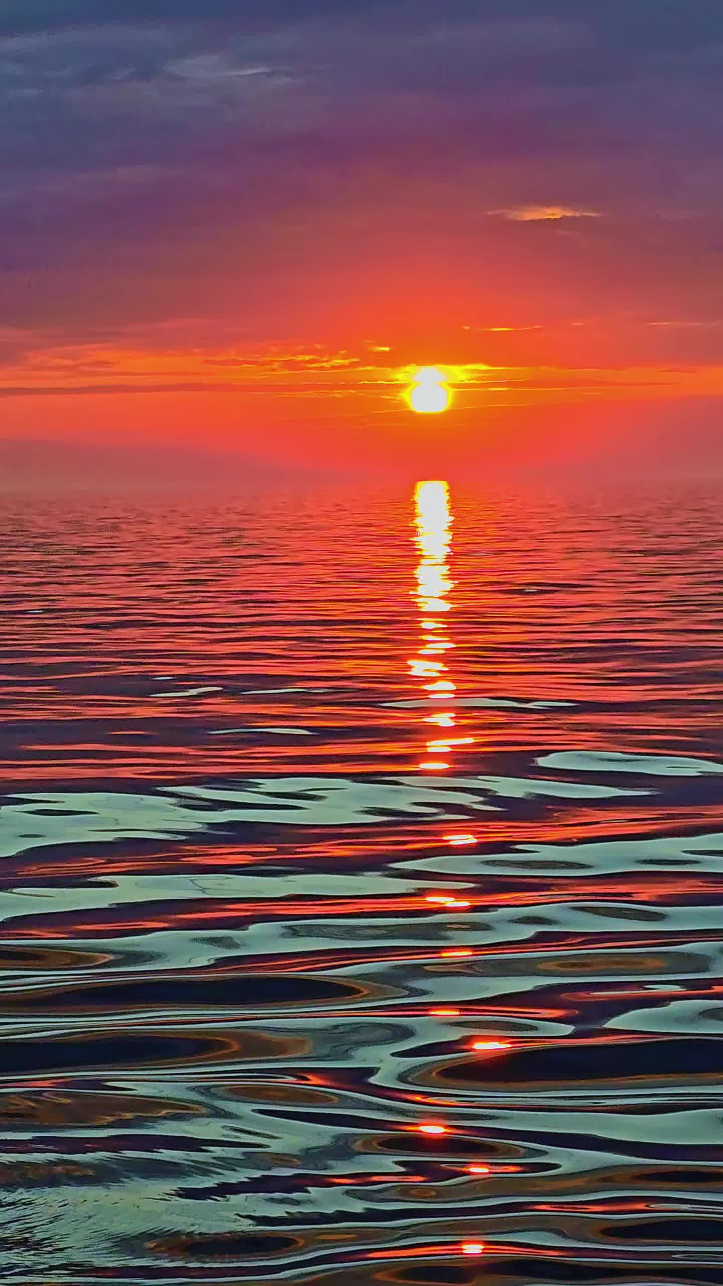 @Blue Horizon Sailor