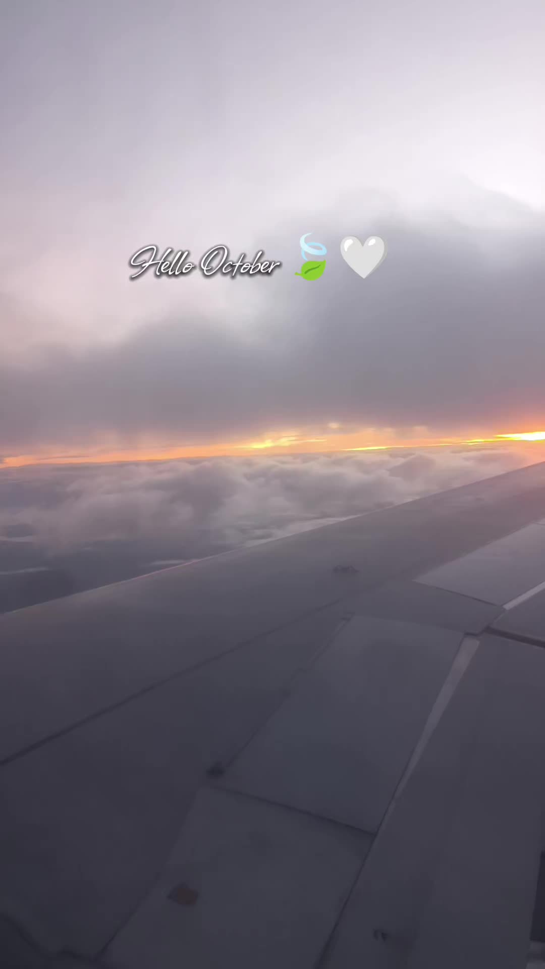 @Ojitos🍀