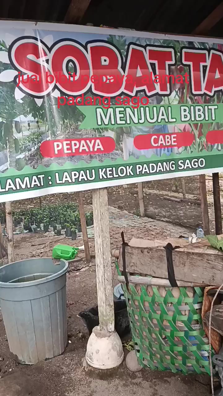 @Syafrizal , tanjuang