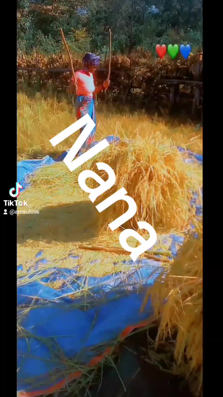 @amsulove