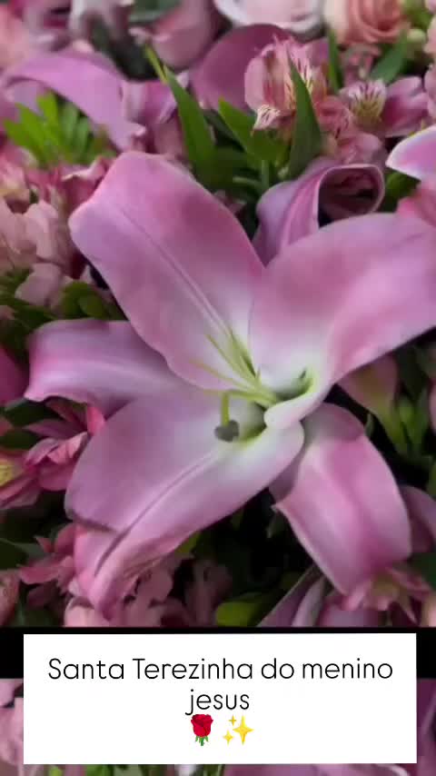 @Dayane N. Sousa