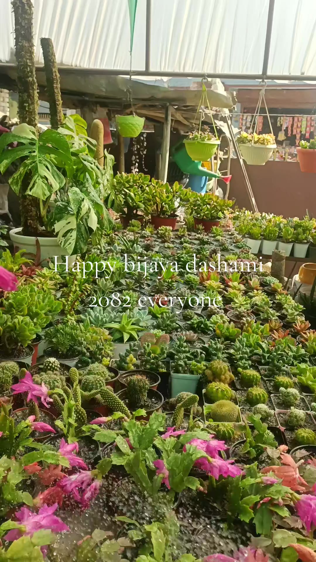 @shree guheshwori nursery