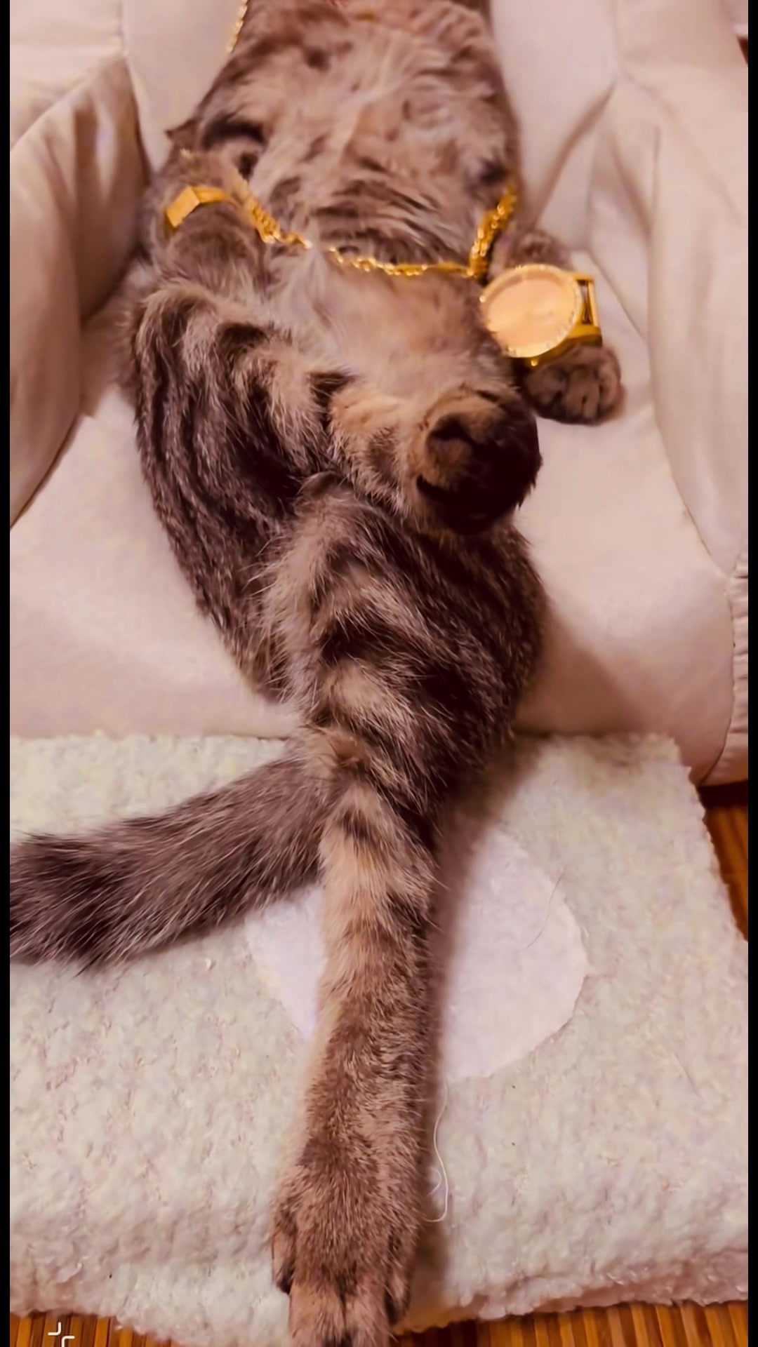 @My Daily Dose of Aww