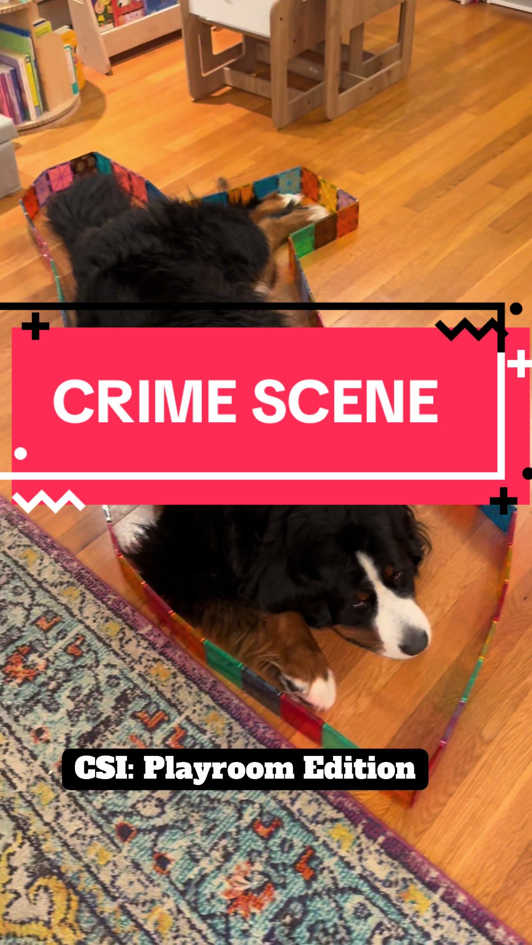 @Ivy the Berner