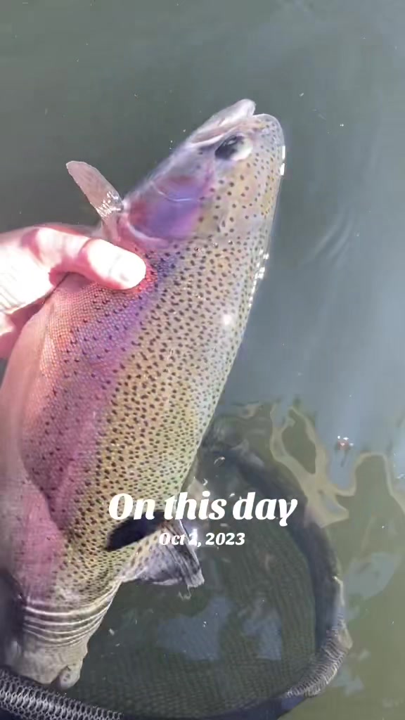 @Jared fishing BC