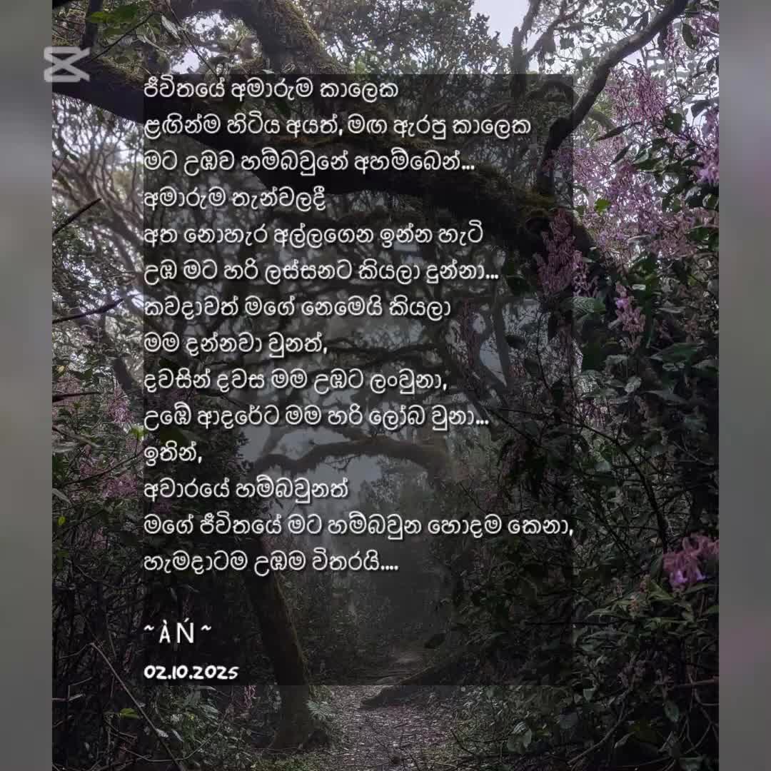 @🖤 &Agrave; Ń 🖤