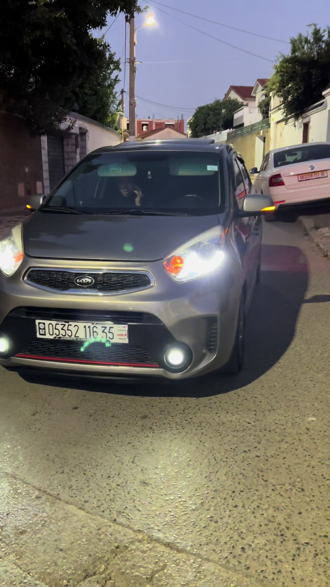 @anis picanto