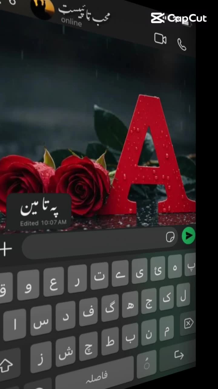 @AnAs JaN waziristani🥷🕊️
