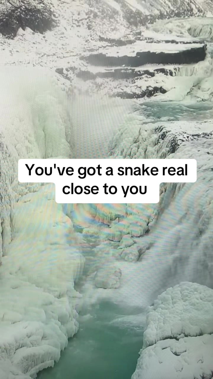 @King.00