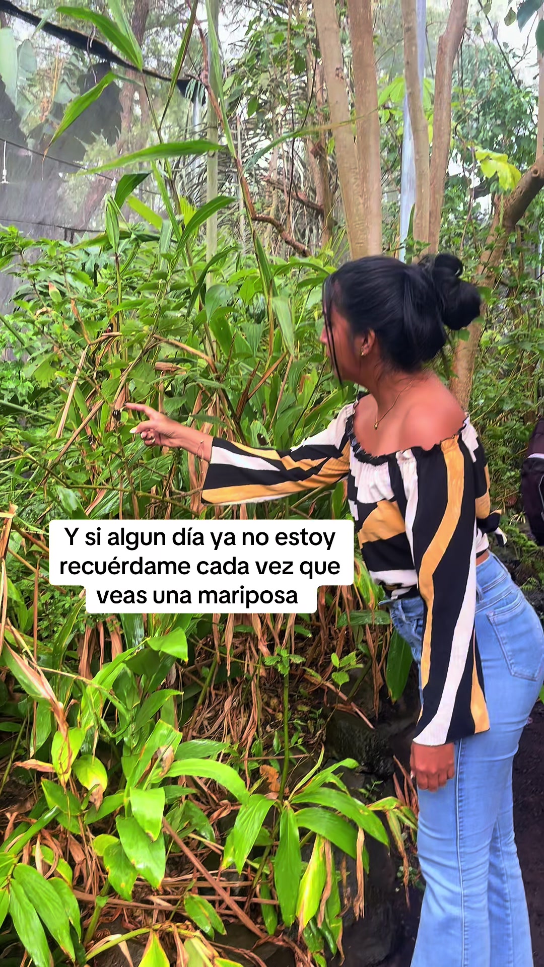 @Rub&iacute; Cede&ntilde;o✨