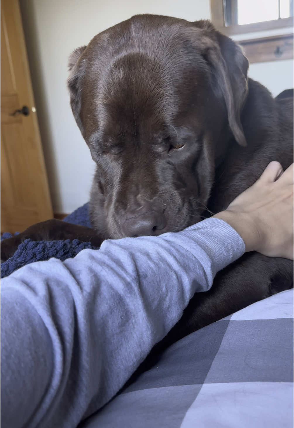 @the_lab_millie