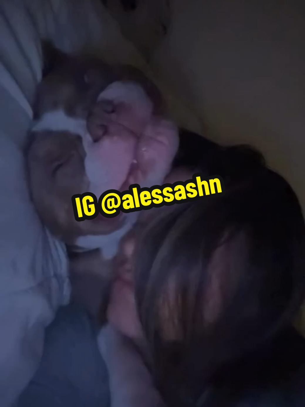 @᭄✿Alessha