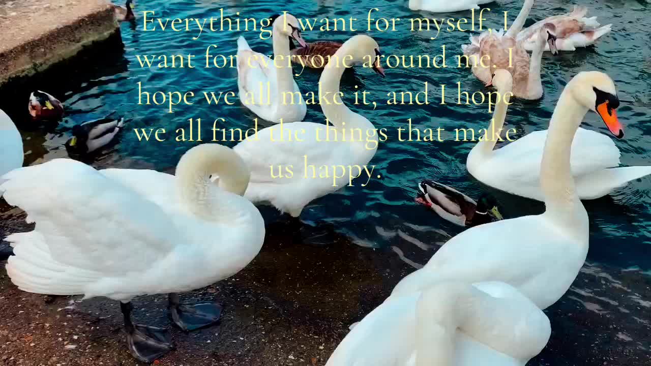 @Kati˙˙ka