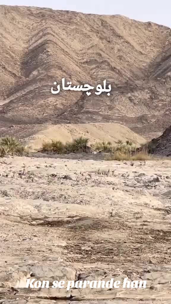 @IMTBaloch