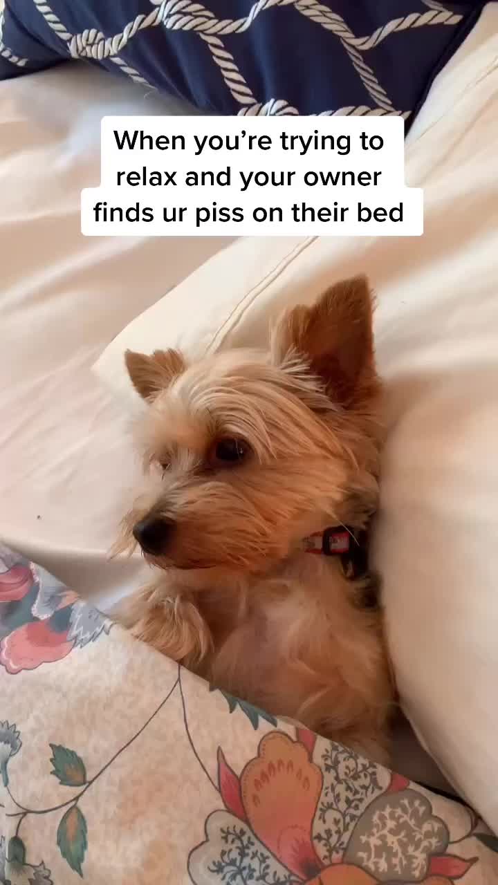 @Daniel Cepeda