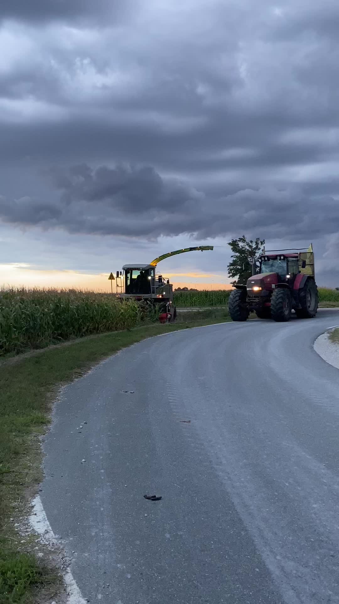 @Ćwikła agro