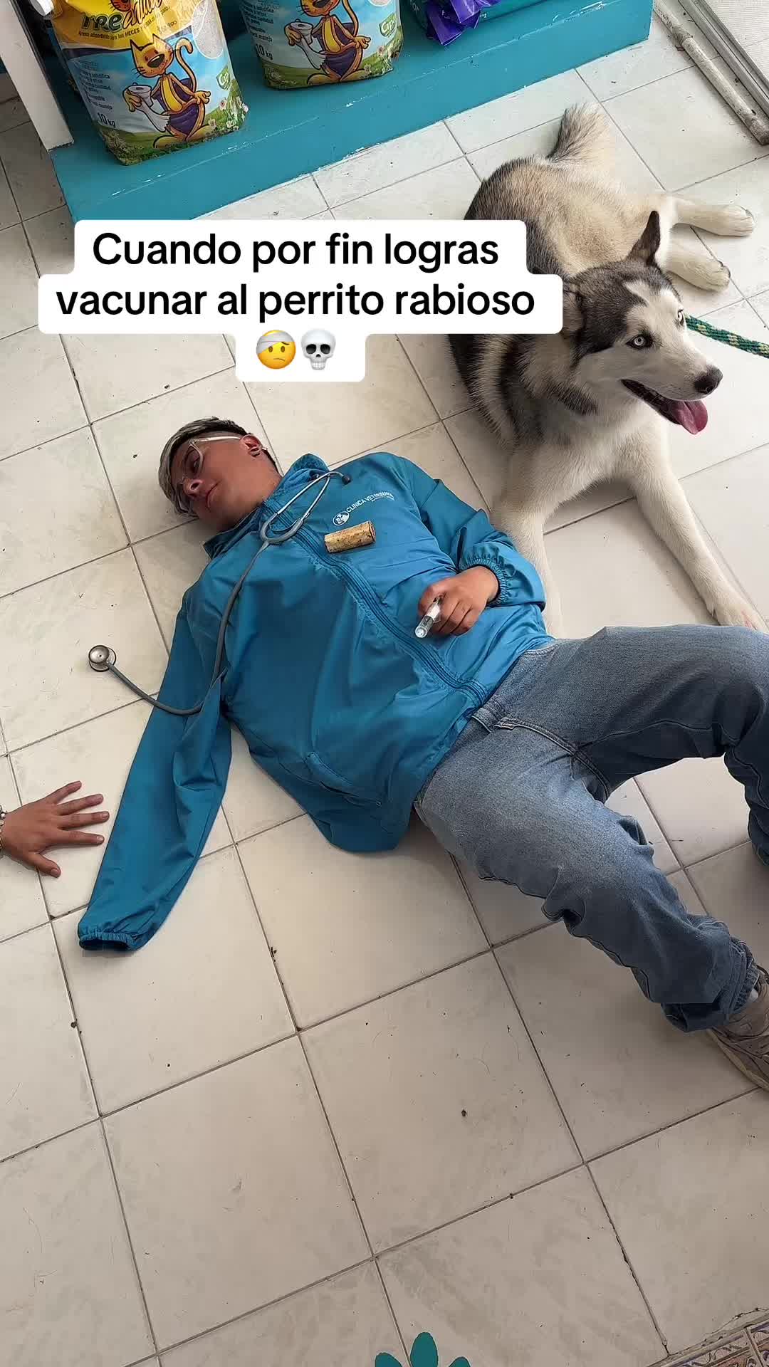 @Animal Small