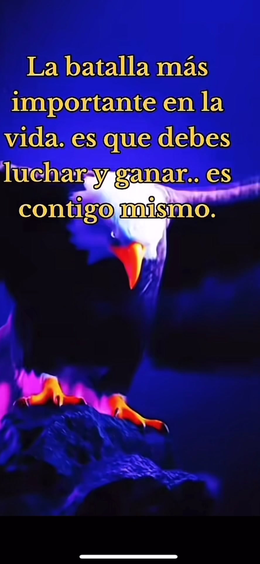 @777elmisterio🤔🪽