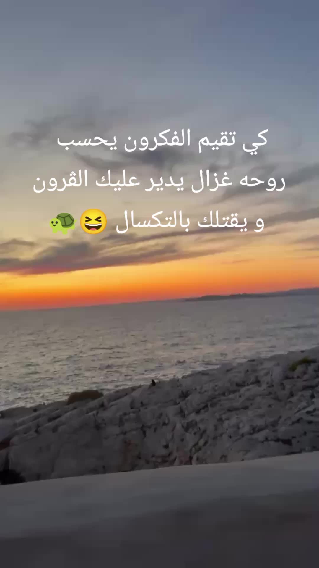 @Jasmin Dora