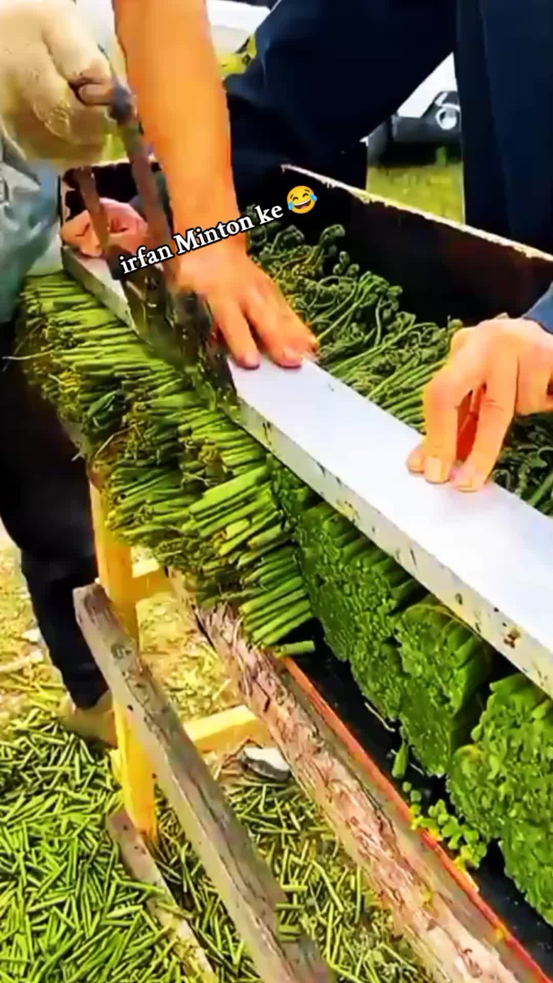 @◉‿◉