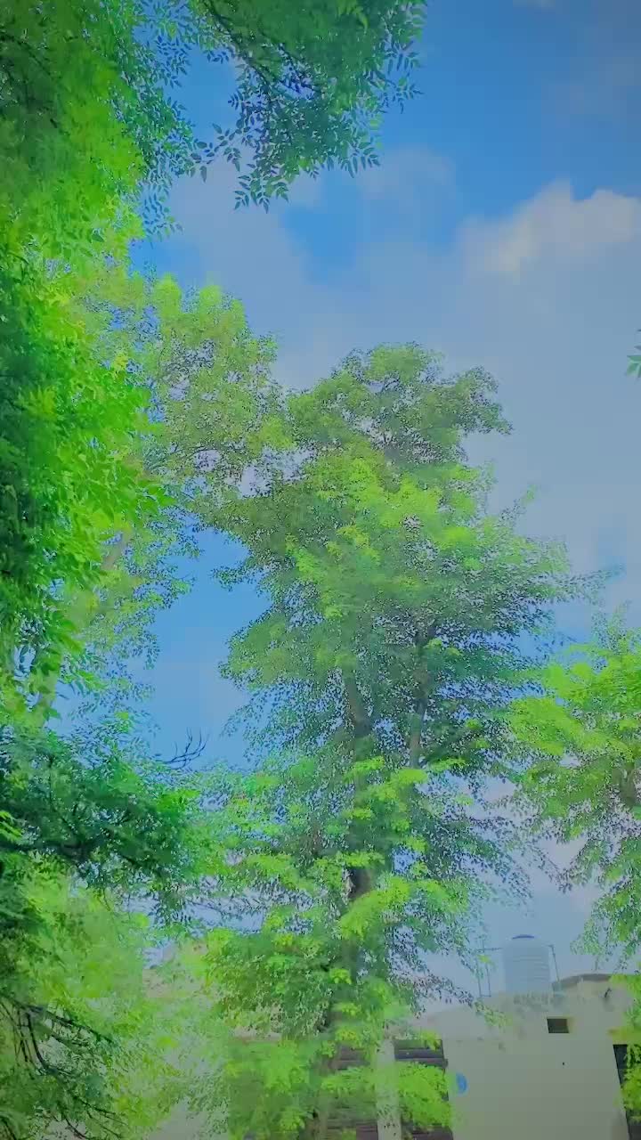 @shaributtar🔥🥰🦅