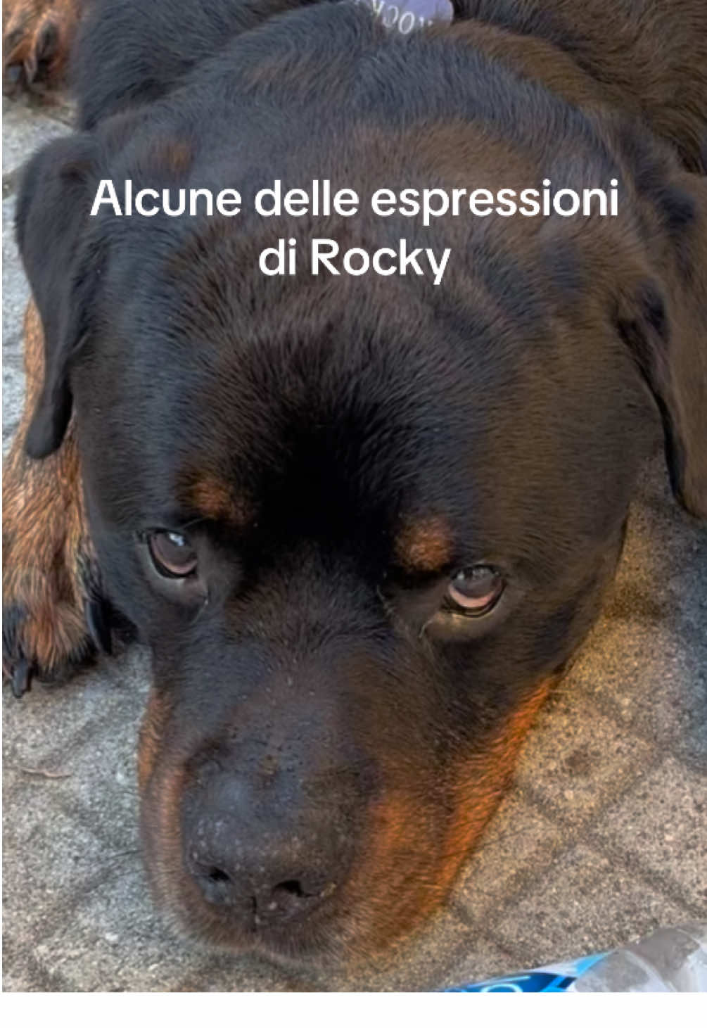@Vale&Rocky