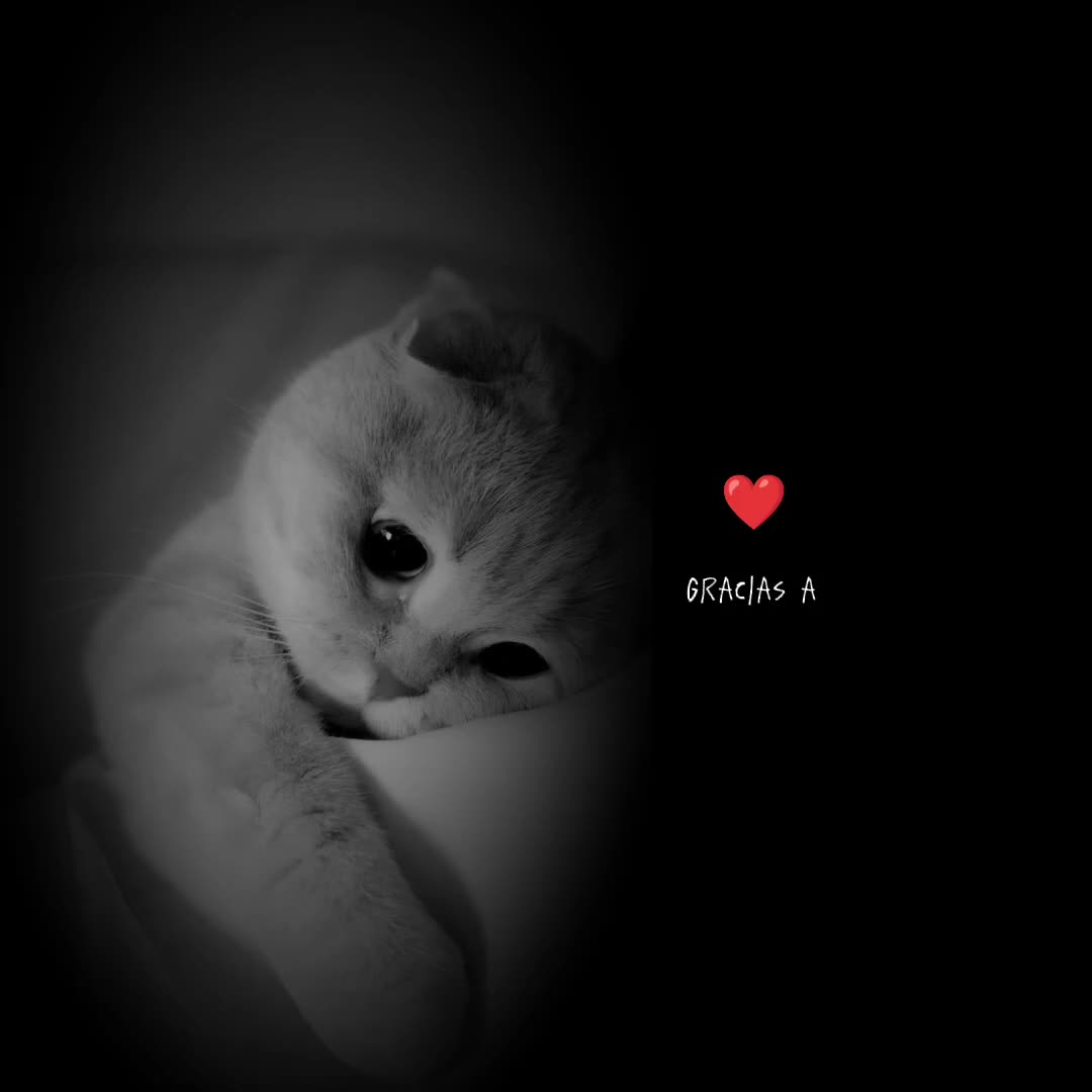 @MUSIC | JMA