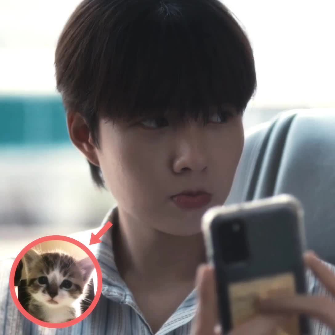 @猫猫 🐈⬛
