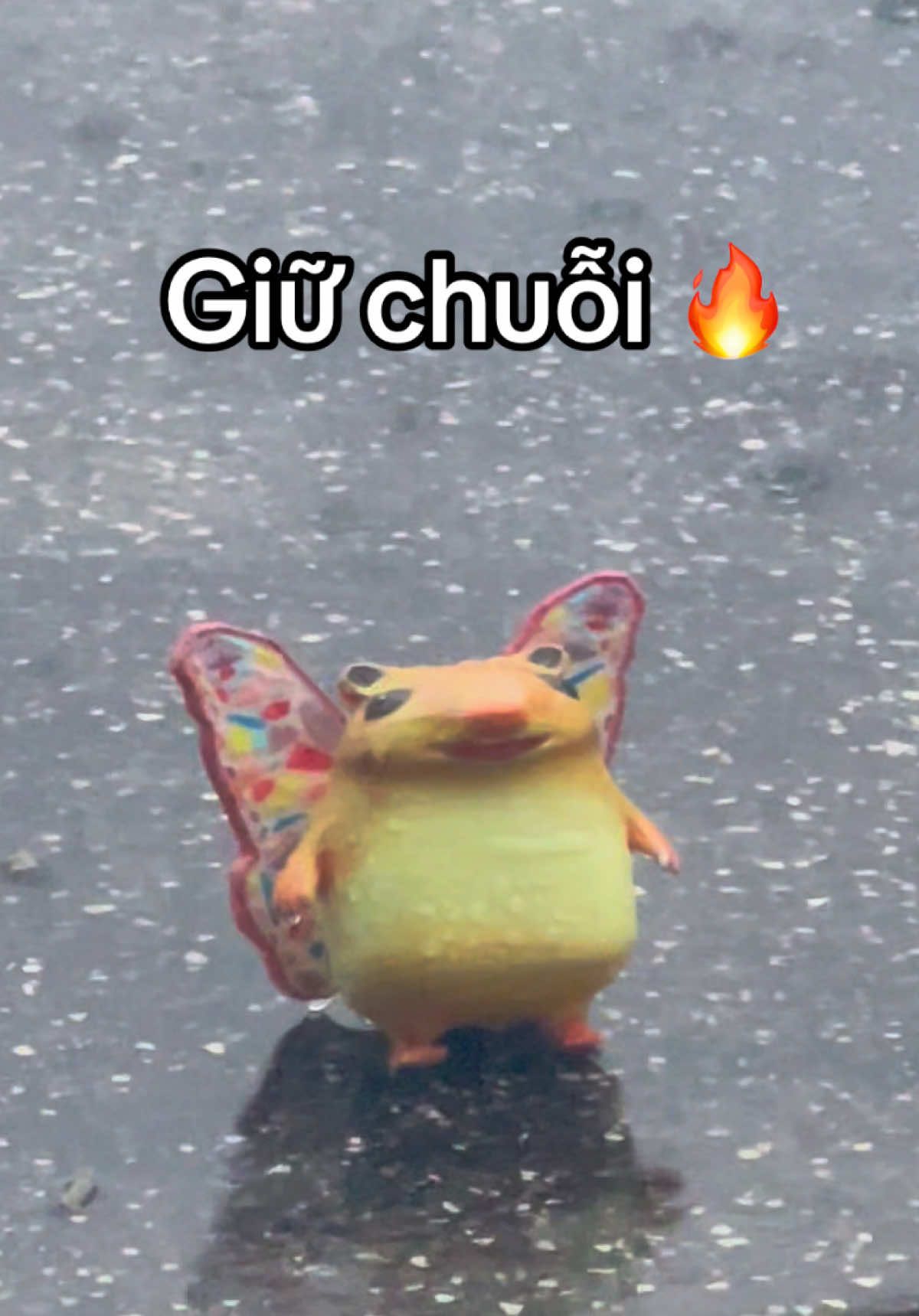@chụt m&ecirc; toku ⭐️🐹
