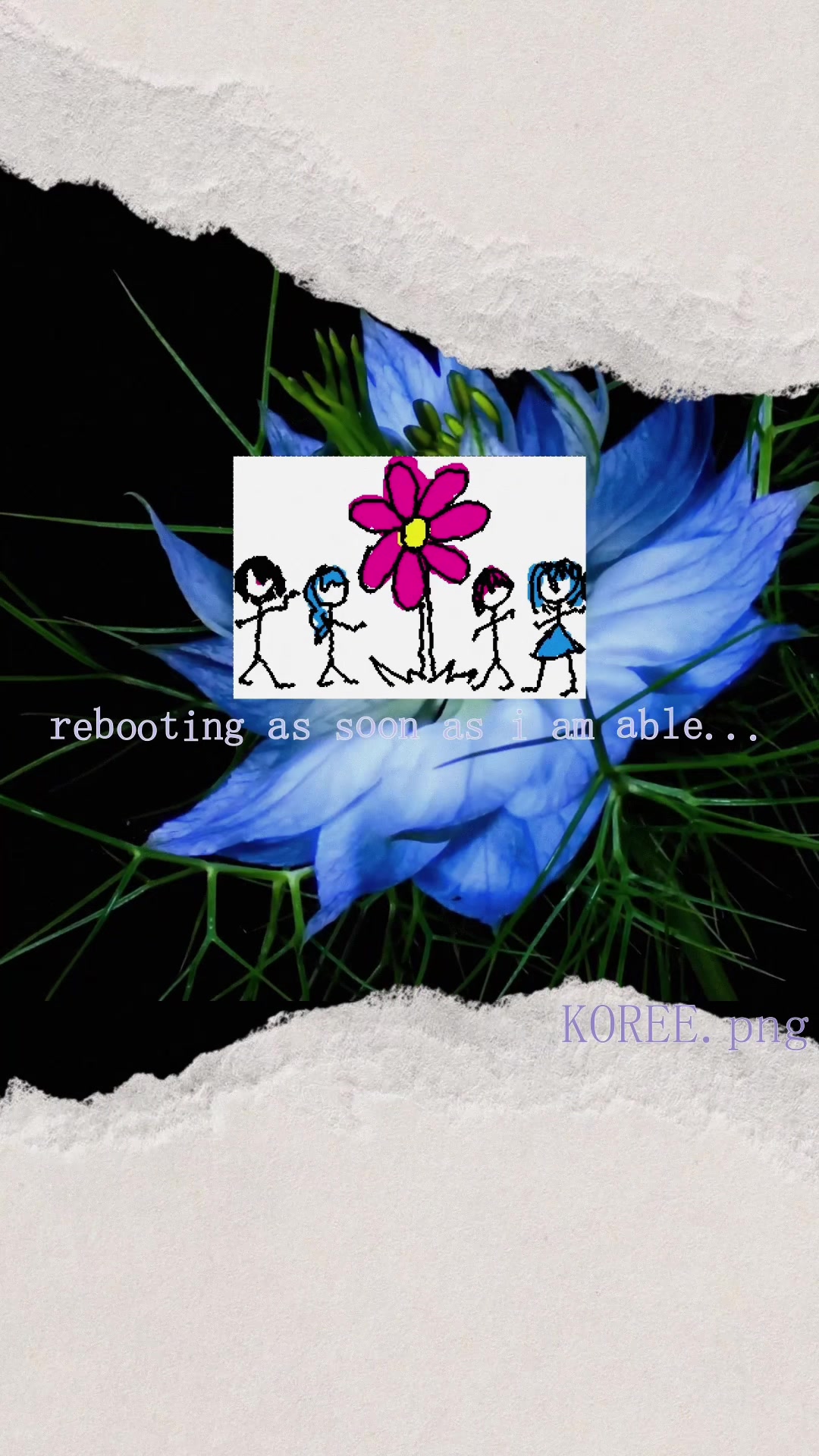@koree.png