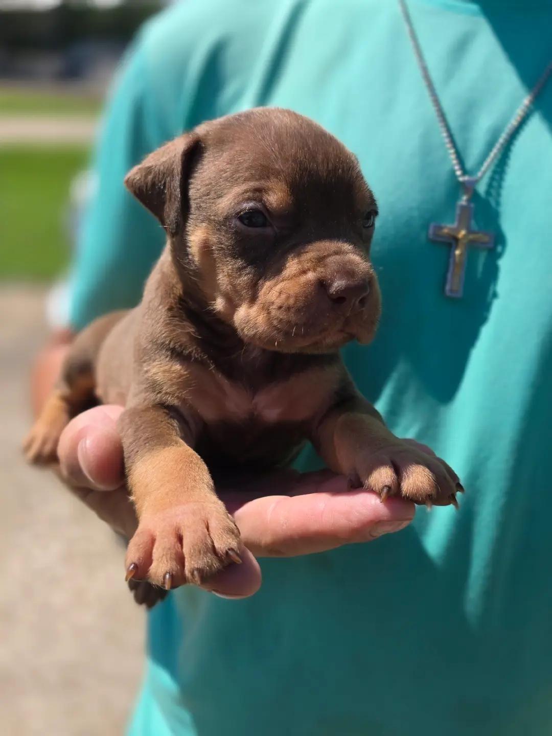 @Hera_The_Bully