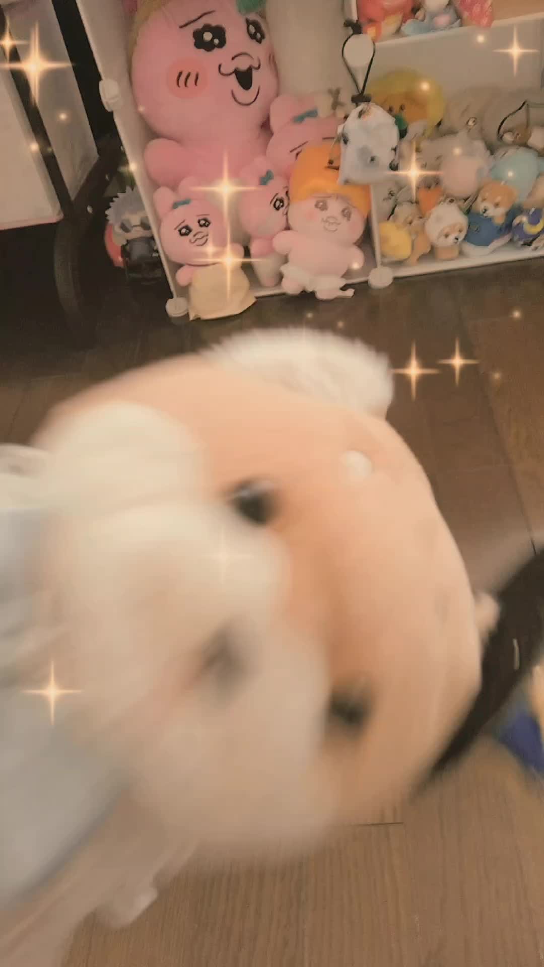 @オクトうさぎ🐰❤🐻💓