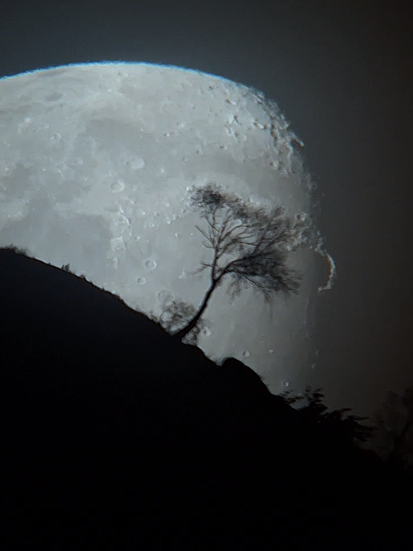 @Moonwatcher