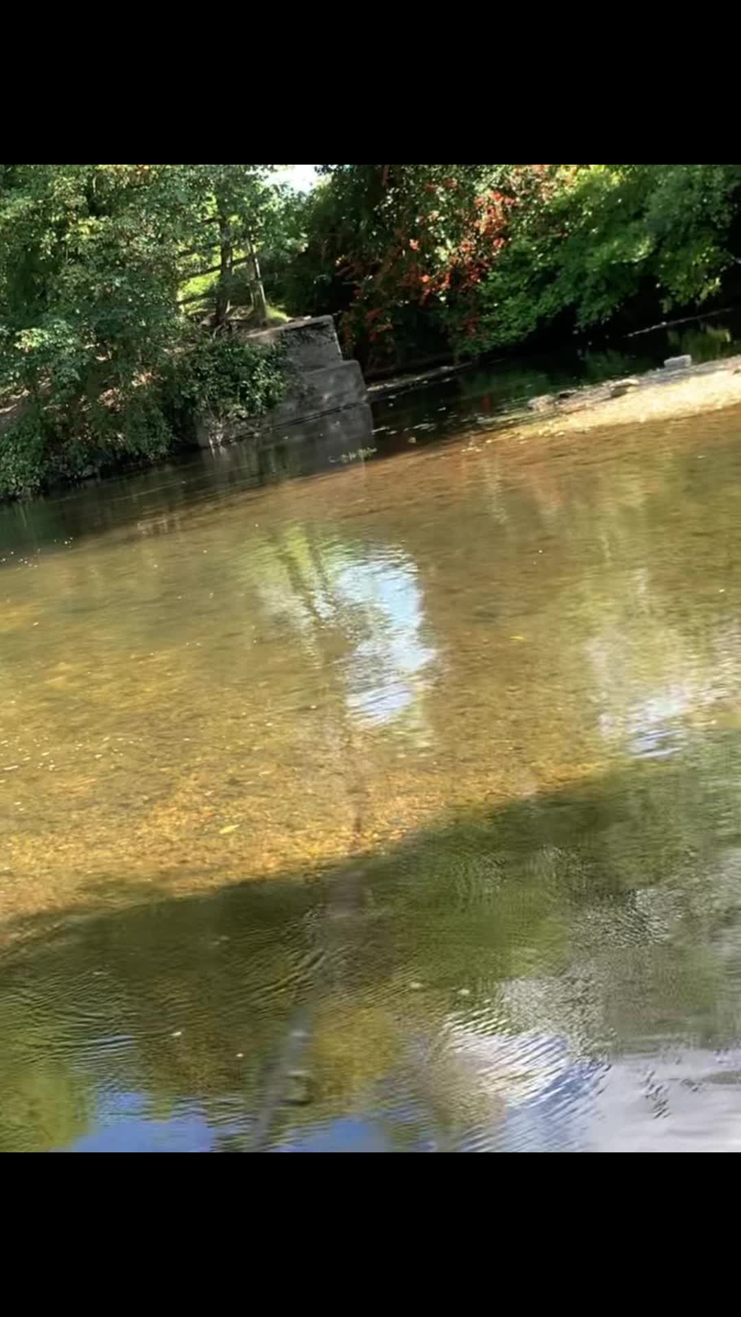 @🎣