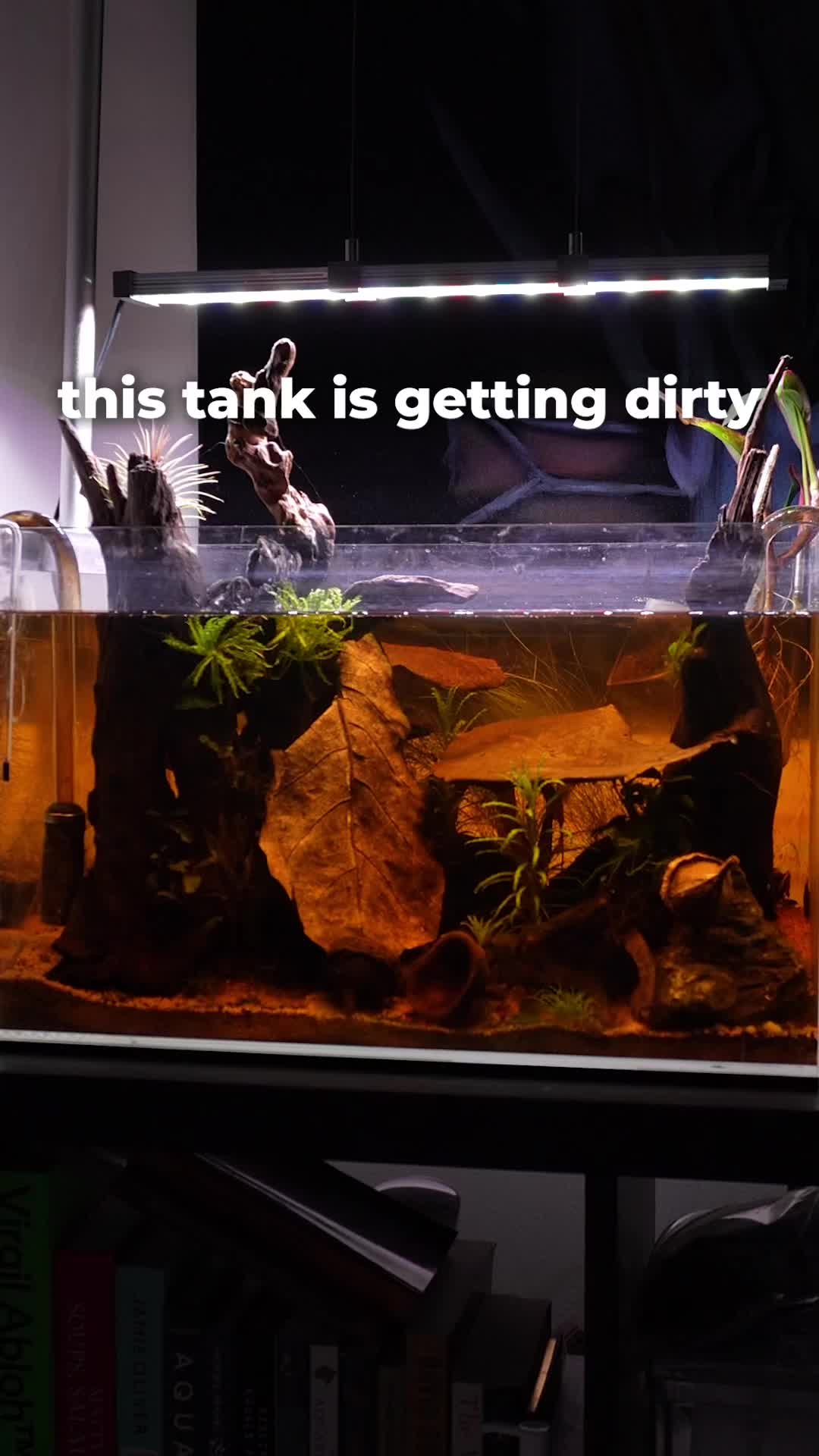 @tankinhabit