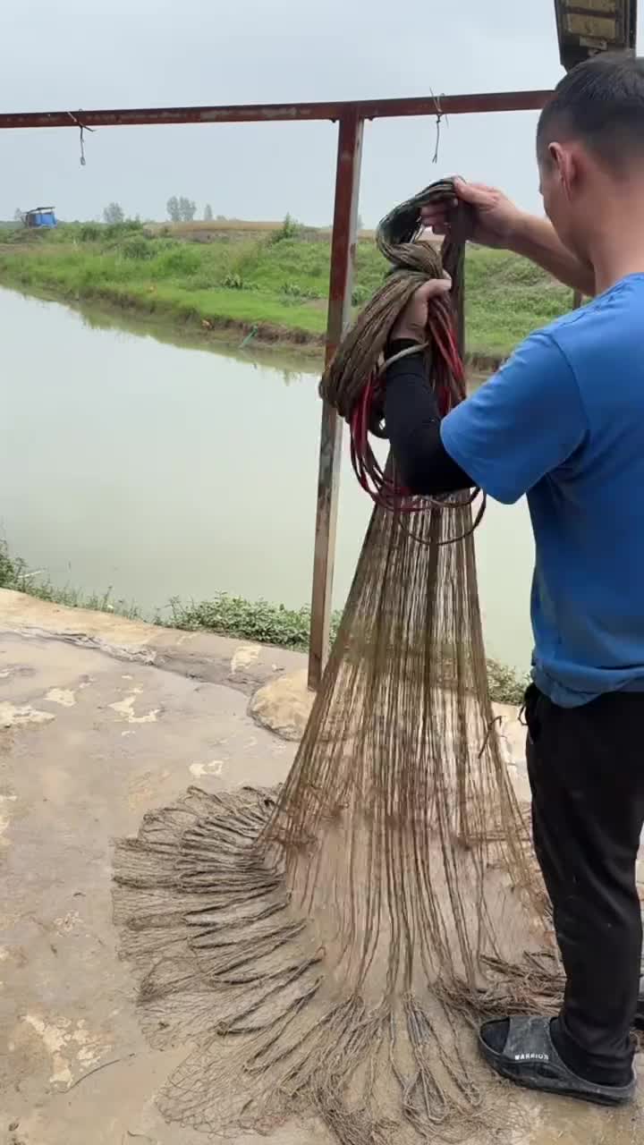 @wywangyu