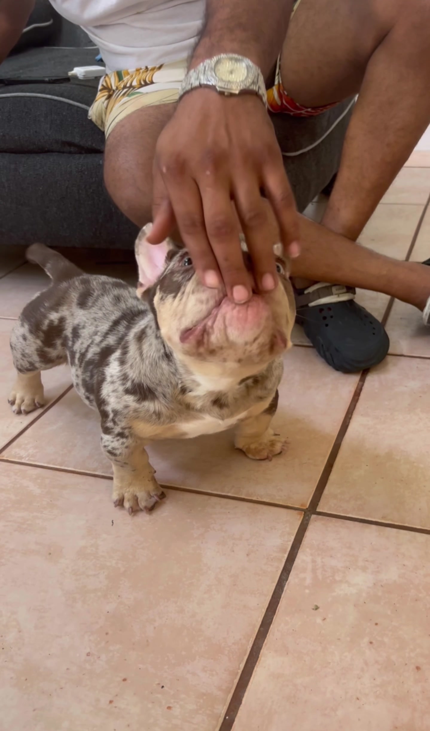 @thepawdcastofficial
