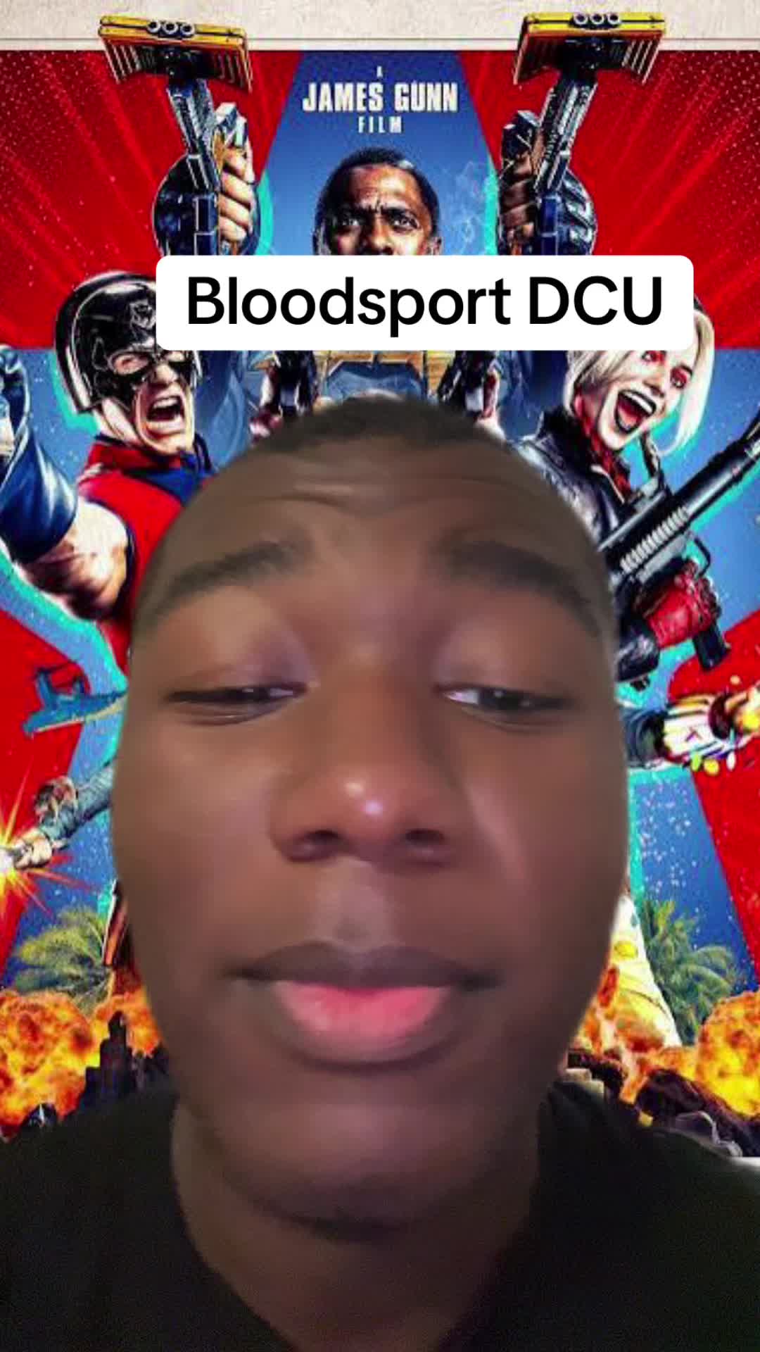 @DragonRaid1066