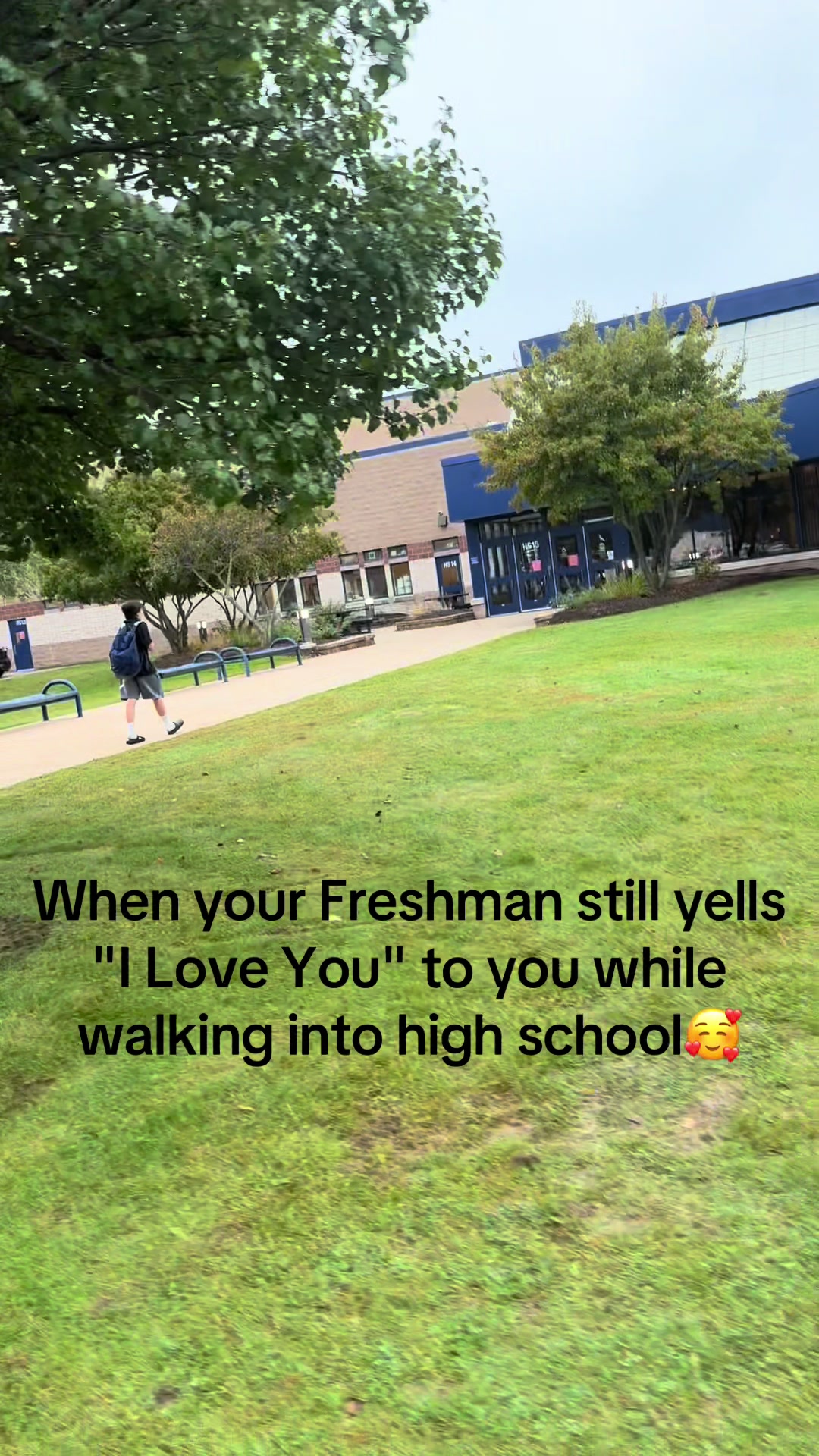 @thedavistribe