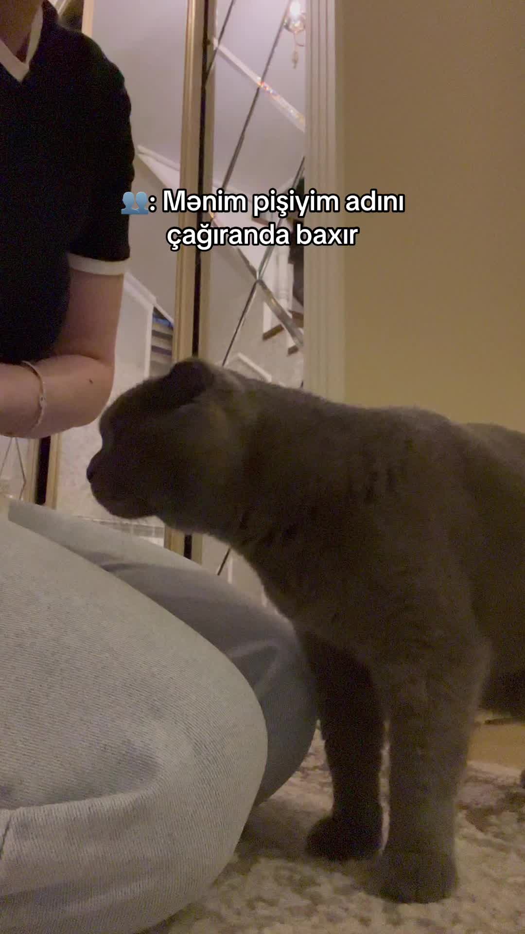 @𝓛𝓪𝓶𝓪𝓷