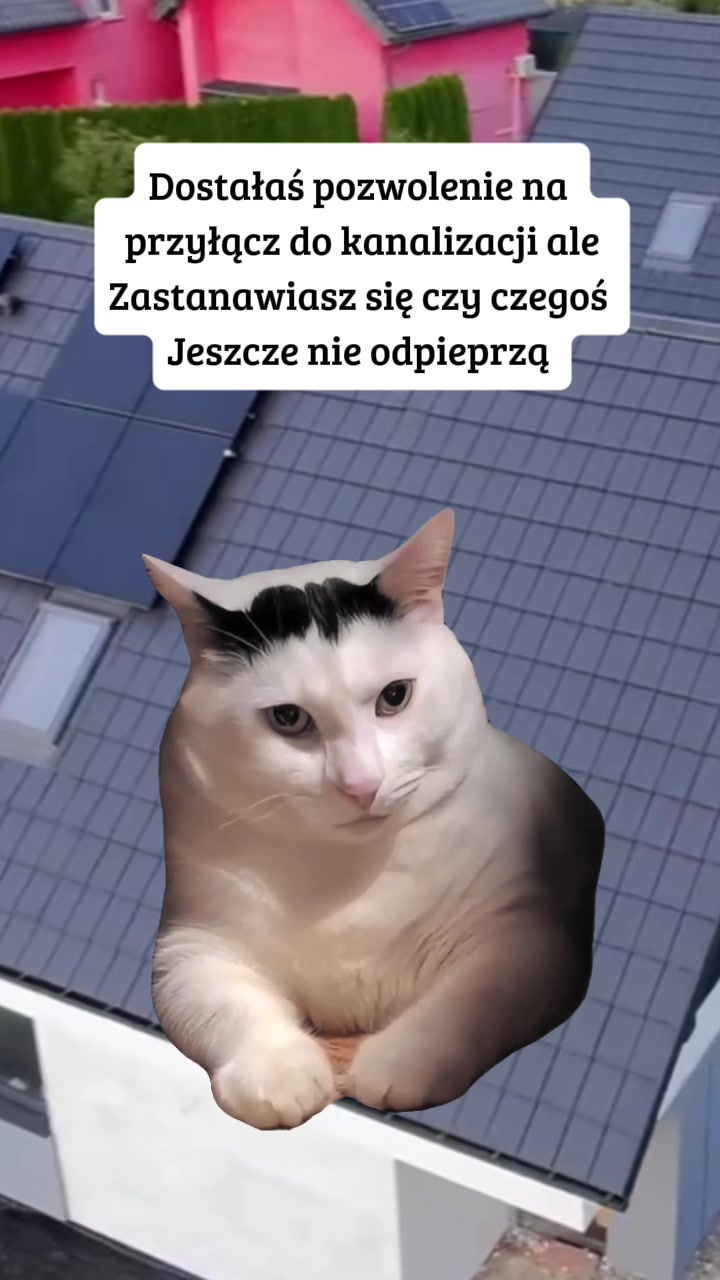 @Kasia Kłyś
