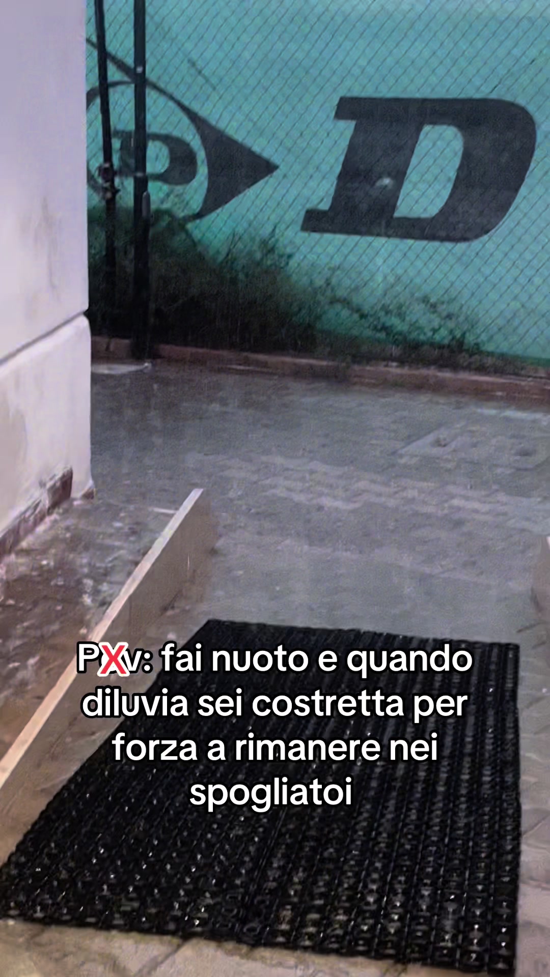 @Asia Pitarresi