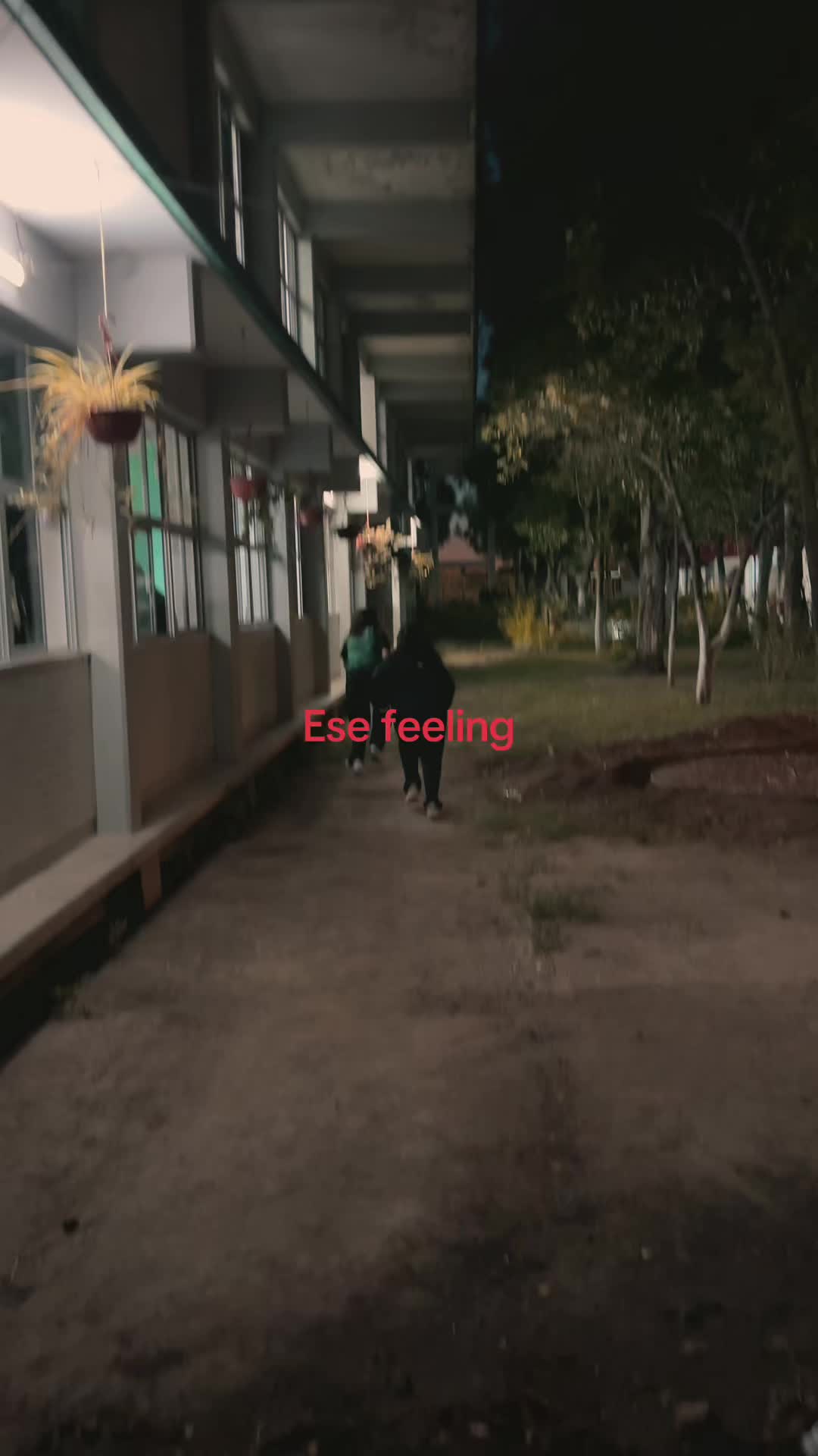 @bananitos11
