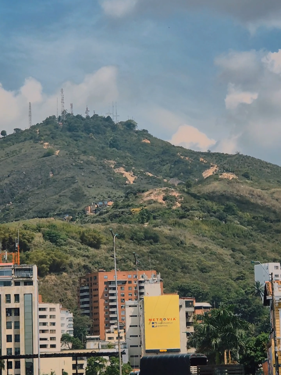 @Camilo Molina