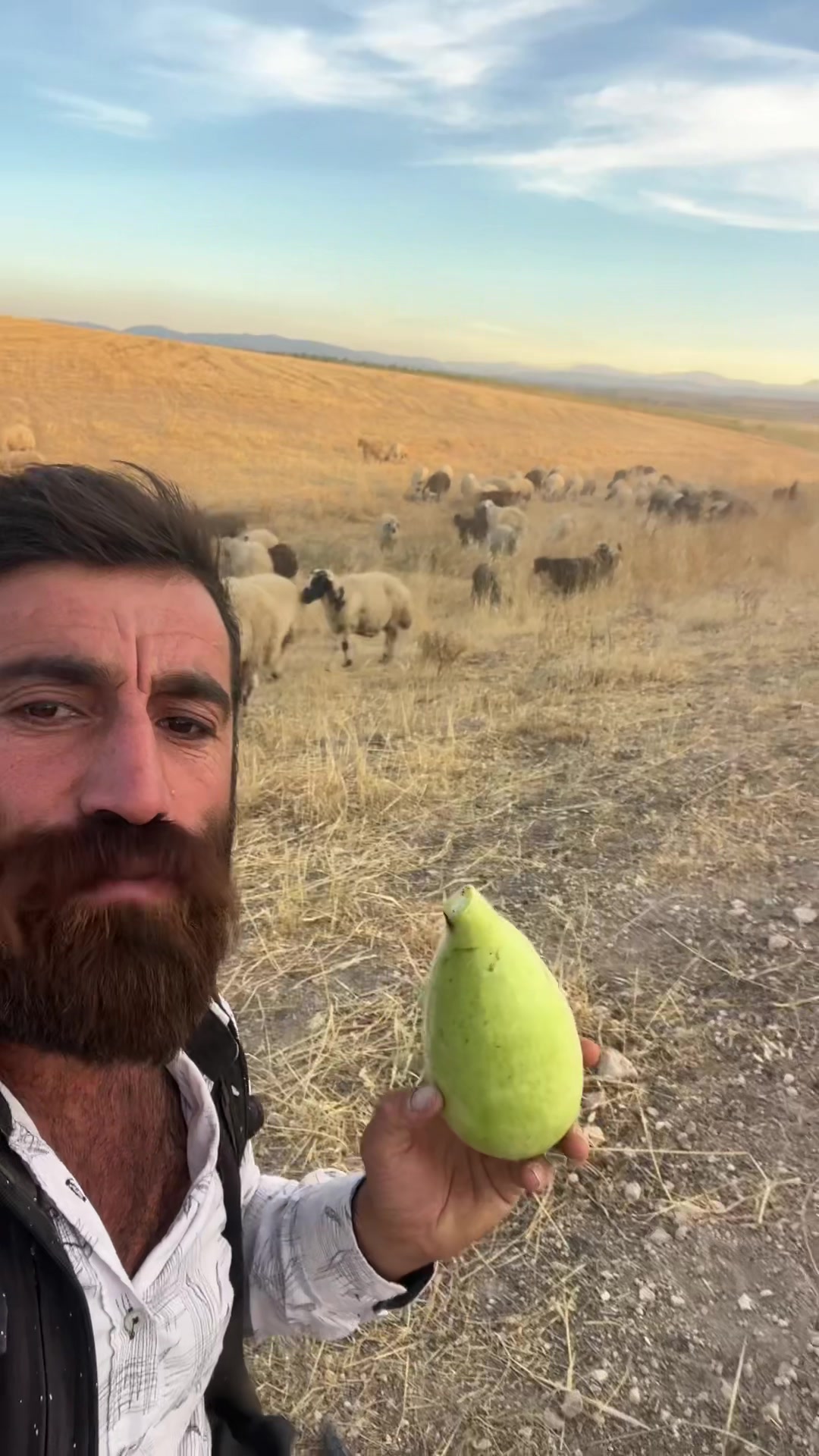 @Welat kırac